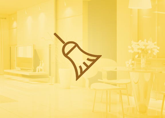 home_cleaner_offer1 home_cleaner_offer1